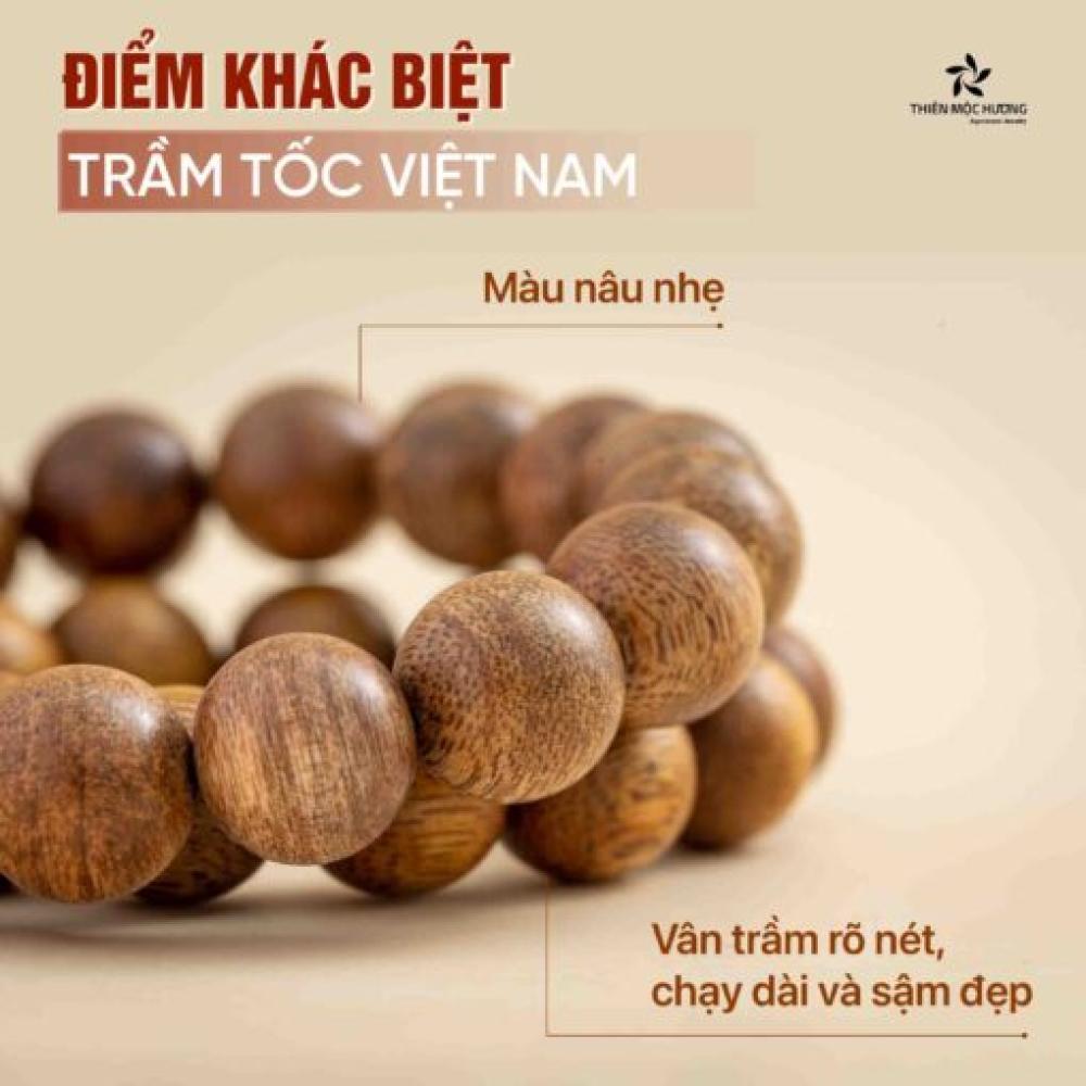 Đặc điểm vòng trầm tốc Việt Nam